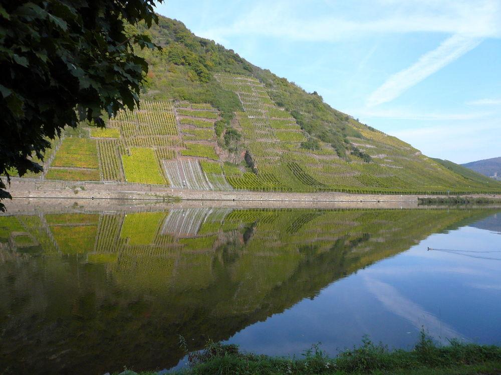 Mosel-Landhaus B&B Briedern Exterior foto