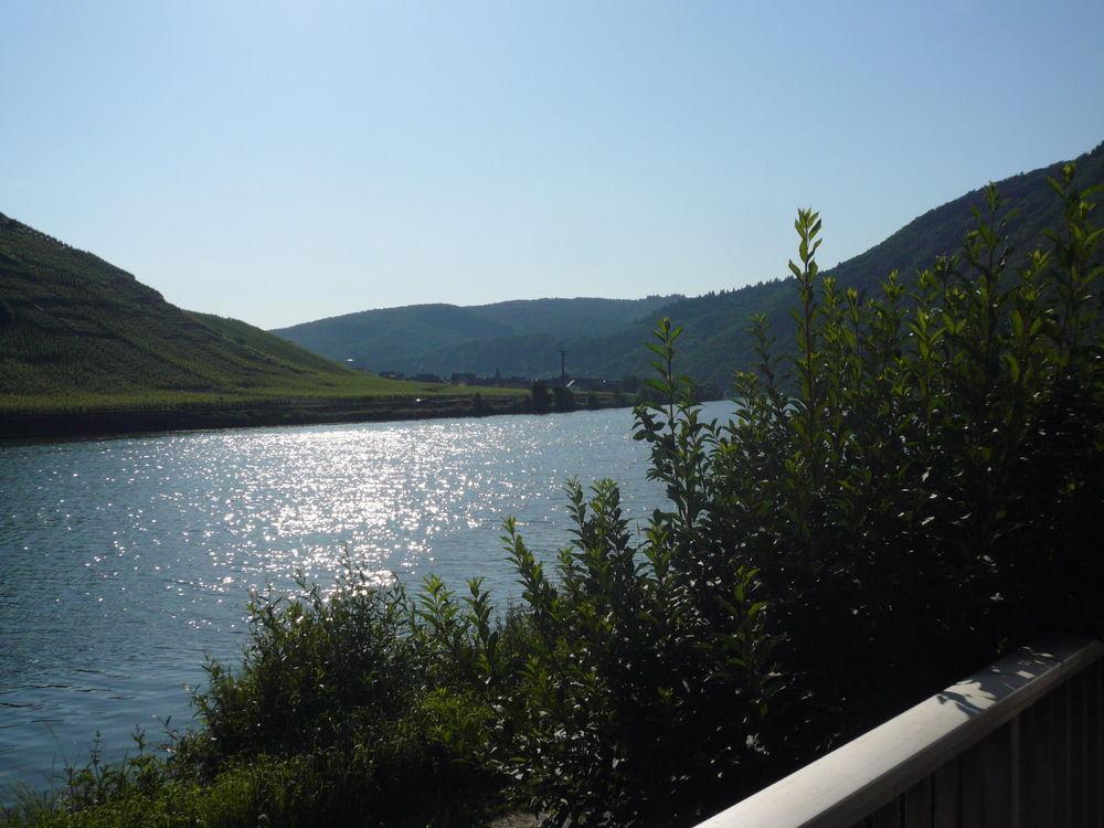 Mosel-Landhaus B&B Briedern Exterior foto