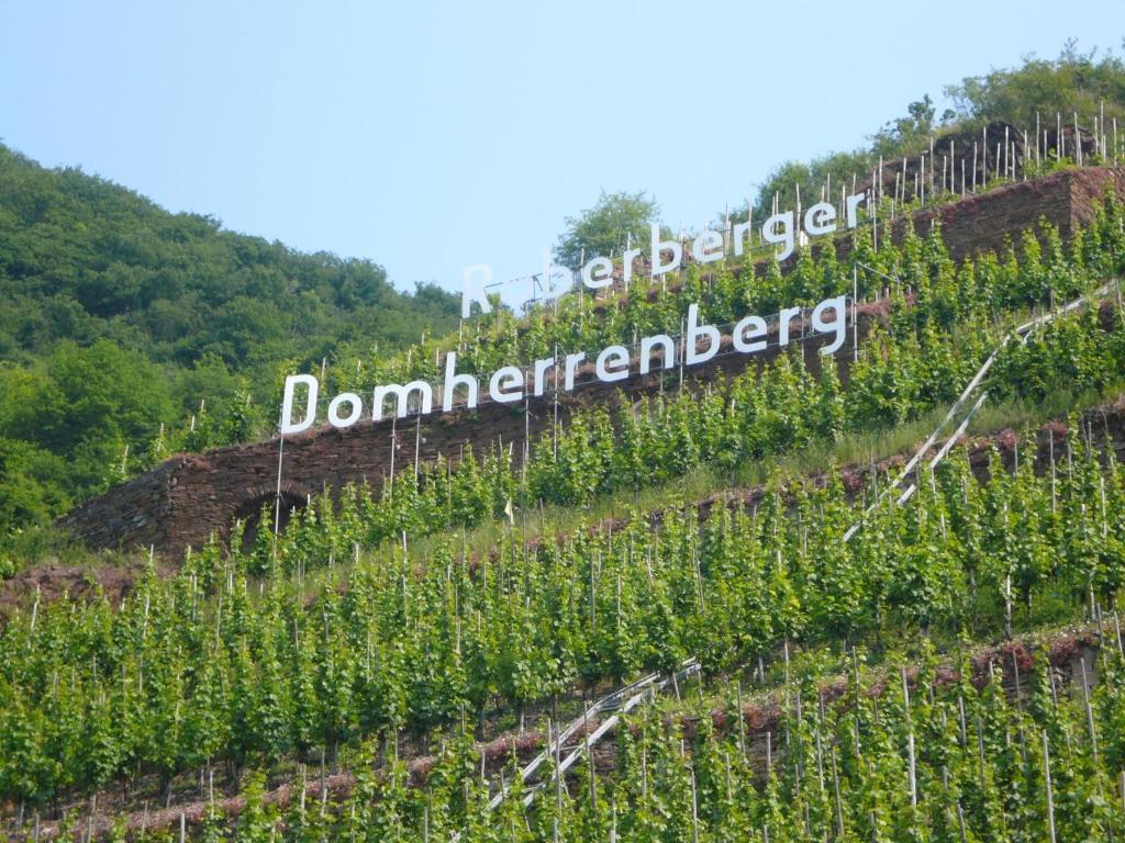 Mosel-Landhaus B&B Briedern Exterior foto
